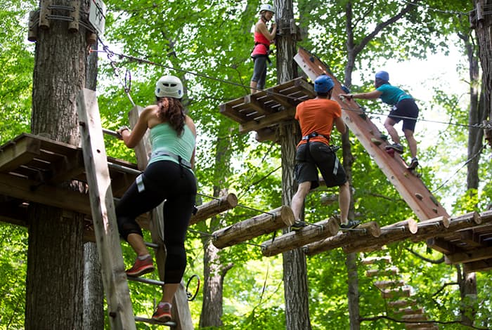 Treetop adventure