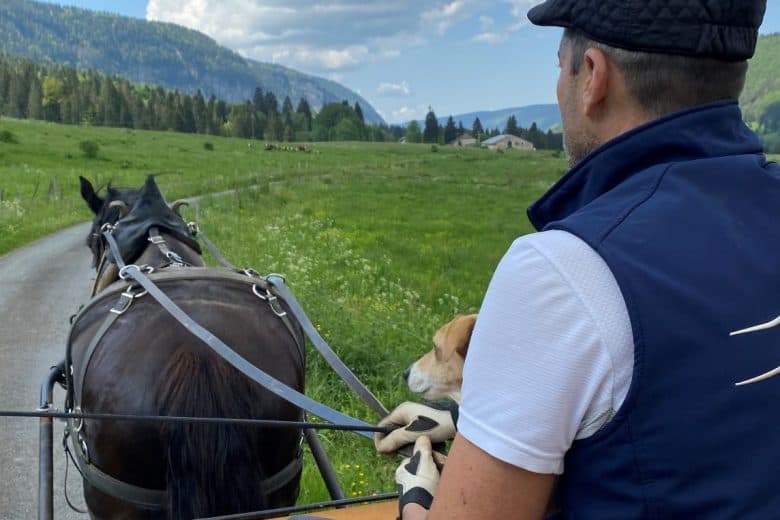Description de la première image